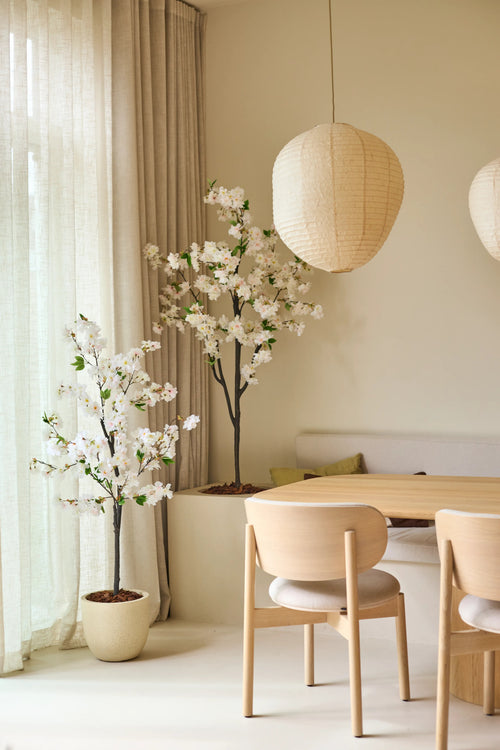 Un coin repas minimaliste avec des chaises en bois clair, une table ronde, deux grandes lanternes en papier, des rideaux translucides et des plantes artificielles en fleurs de cerisier artificielles de 180 cm avec des cerisiers en fleurs artificielles blanches, créant une atmosphère calme et aérée.