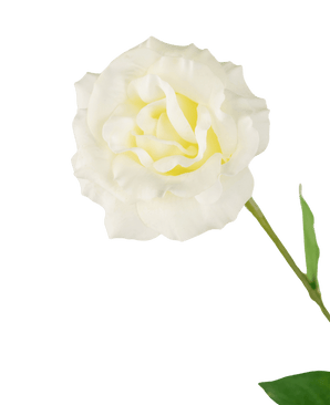 Eustoma artificiel Real Touch blanc 72 cm