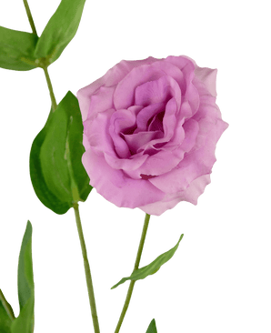 Eustoma artificiel Real Touch rose 72 cm