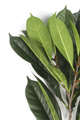 Feuille artificielle Cyathistipula ignifugée 63 cm