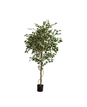Plante artificielle Ficus Exotica 165 cm