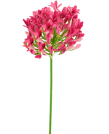 Fleur artificielle Agapanthe rose 75 cm
