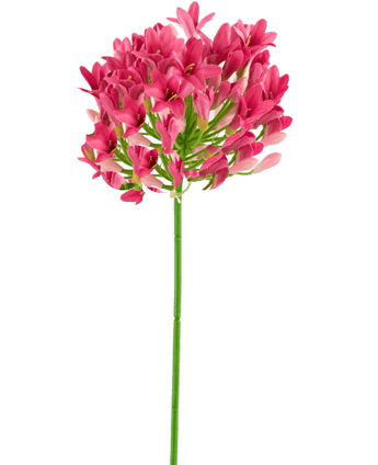 Fleur artificielle Agapanthe rose 75 cm