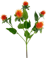 Fleur artificielle Carthame 79 cm orange