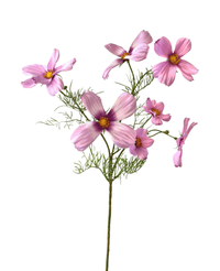 Fleur artificielle Cosmos 74 cm rose