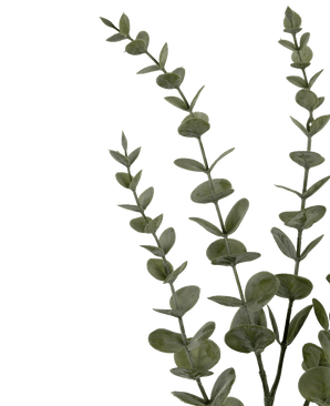 Fleur artificielle Eucalyptus Yugali 74 cm