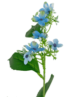 Fleur artificielle Hortensia sauvage 93 cm bleu