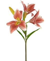 Fleur artificielle Lys asiatique 66 cm vieux rose