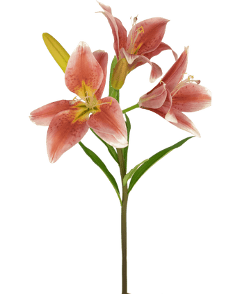 Fleur artificielle Lys asiatique 66 cm vieux rose