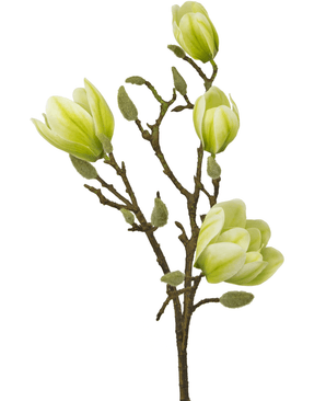 Fleur artificielle Magnolia 50 cm blanc/vert