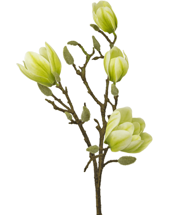 Fleur artificielle Magnolia 50 cm blanc/vert