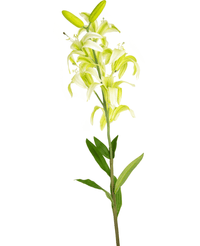 Fleur artificielle Martagon Lily 78 cm blanc