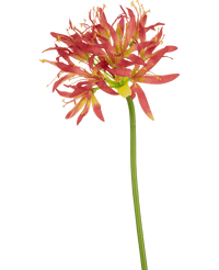 Fleur artificielle Nerine 70 cm fuchsia