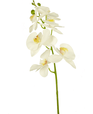 Fleur artificielle Orchidée 84 cm blanc