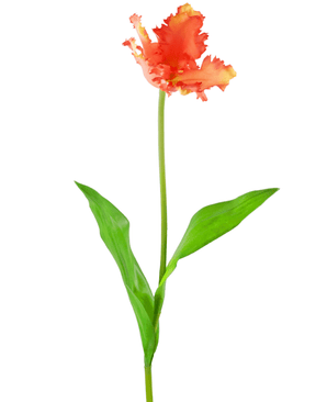 Fleur artificielle Perruche française Tulipe 76 cm corail