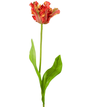 Fleur artificielle Perruche française Tulipe 76 cm rouge/jaune