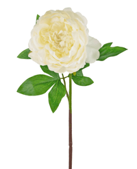 Fleur artificielle Pivoine 61 cm blanc