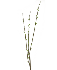 Fleur artificielle Salix willow 70 cm