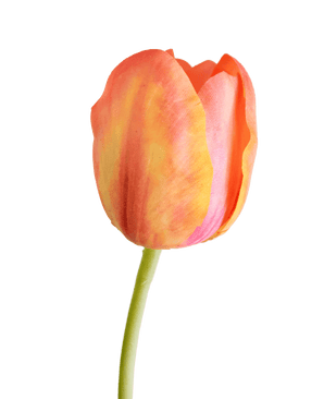 Fleur artificielle Tulipe française 60 cm orange