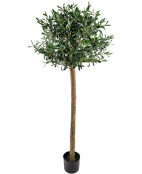 Olivier artificiel 150 cm UV