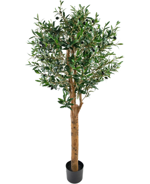 Olivier artificiel 155 cm UV