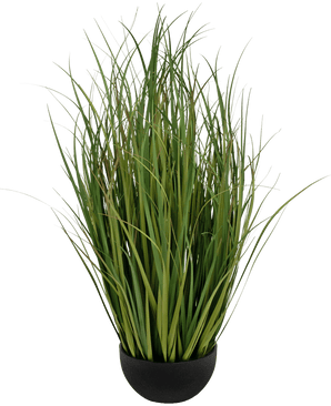 Gazon artificiel Dogtail onion grass Bran 90 cm ignifugé