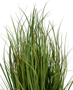 Gazon artificiel Dogtail onion grass Bran 90 cm ignifugé