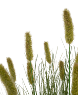 Gazon artificiel Matsutake onion grass pot 90 cm ignifugé