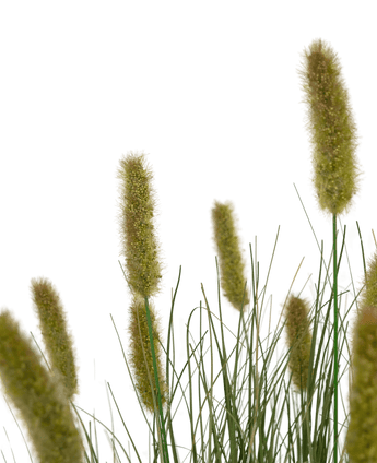 Gazon artificiel Matsutake onion grass pot 90 cm ignifugé