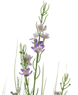 Gazon artificiel Millet Oignon pot 90cm ignifugé