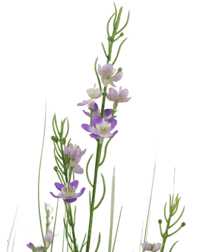 Gazon artificiel Millet Oignon pot 90cm ignifugé