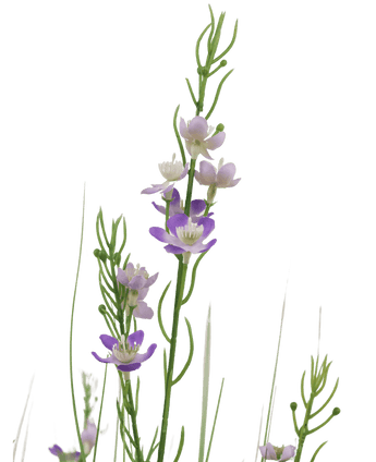 Gazon artificiel Millet Oignon pot 90cm ignifugé