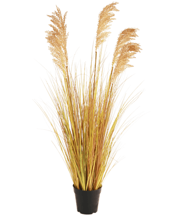 Gazon artificiel Sorgho 110 cm