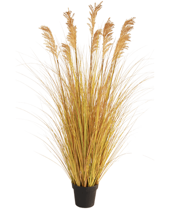 Gazon artificiel Sorgho 150 cm