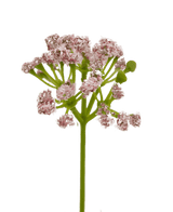 Gazon artificiel gazon d'oignon Bonsai 61cm ignifugé