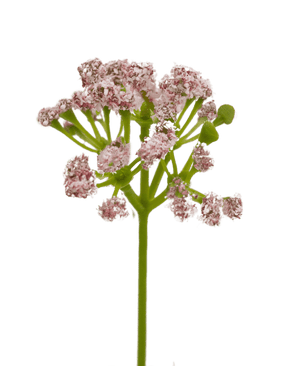 Gazon artificiel gazon d'oignon Bonsai 61cm ignifugé