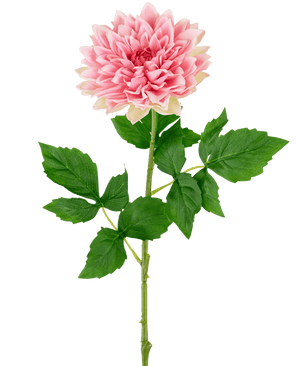 Georgine artificiel Real Touch rose 70 cm