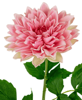 Georgine artificiel Real Touch rose 70 cm