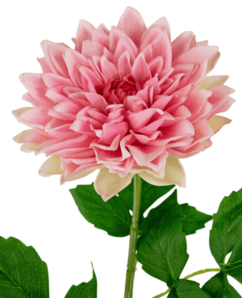 Georgine artificiel Real Touch rose 70 cm