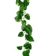 Guirlande de vigne artificielle dorée 180 cm