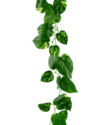 Guirlande de vigne artificielle dorée 180 cm