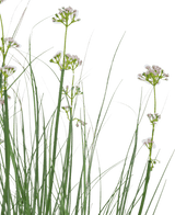 Herbe artificielle Fleur de poireau Oignon Pot de 90 cm ignifugé