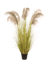 Herbe artificielle de la pampa 170 cm