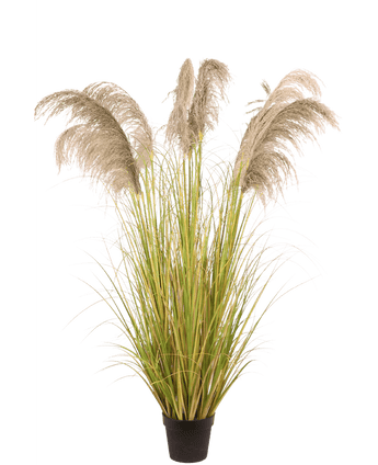 Herbe artificielle de la pampa 170 cm