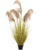 Herbe de pampa artificielle 150 cm