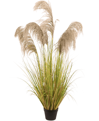 Herbe de pampa artificielle 150 cm