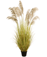 Herbe de pampa artificielle 200 cm