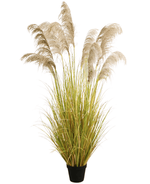 Herbe de pampa artificielle 200 cm