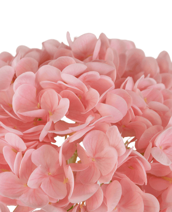 Hortensia artificiel "Annabelle" Real Touch rose 55 cm