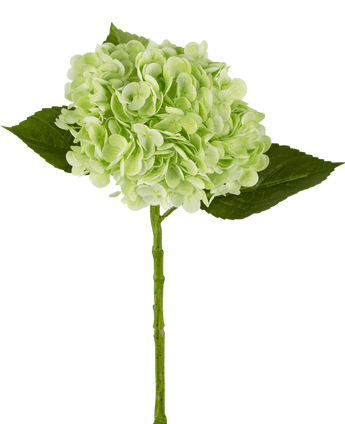 Hortensia artificiel "Annabelle" Real Touch vert 55 cm